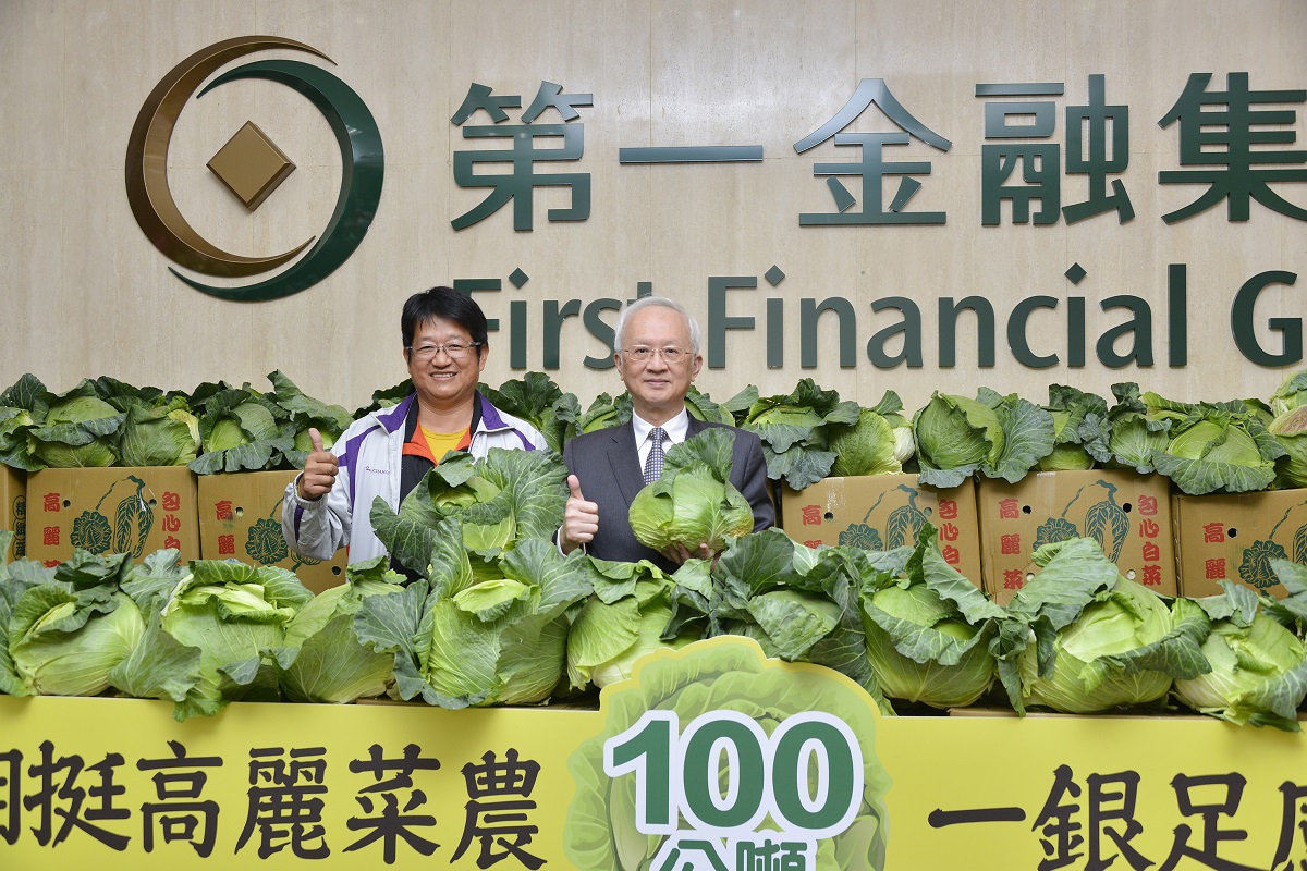 第一銀行採購100公噸高麗菜 力挺本土農業1/3