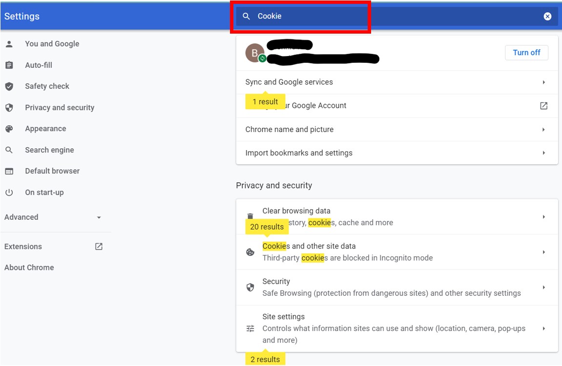 PC Chrome Setting Cookies step 3