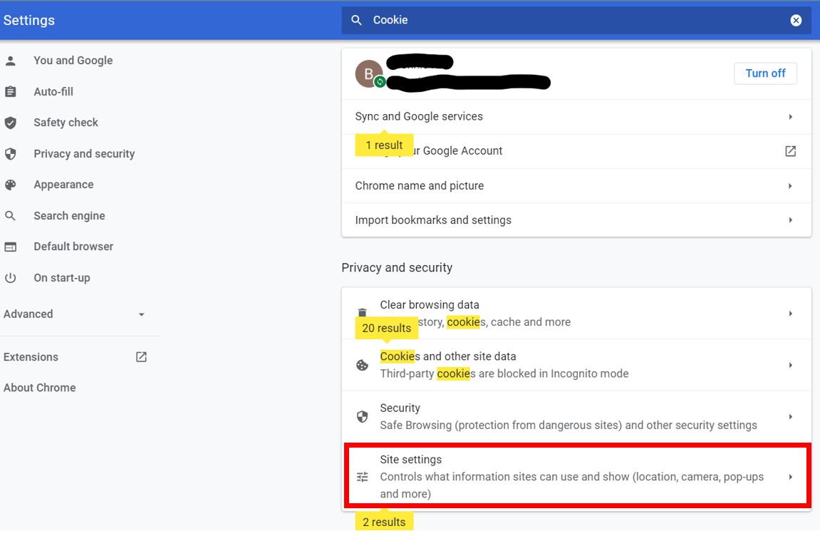 PC Chrome Setting Cookies step 4